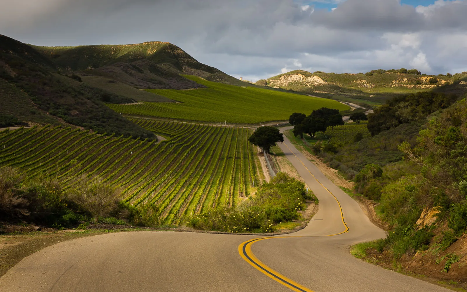 A Hidden Valley vineyard landscape in California showing rolling terrain with grapevines and agricultural rows typical of wine regions